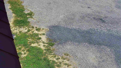 Nástup na běžecké tratě