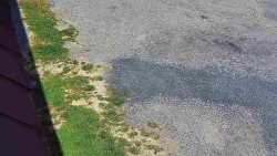 Nástup na běžecké tratě