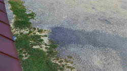 Nástup na běžecké tratě