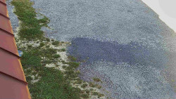 Nástup na běžecké tratě