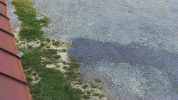 Nástup na běžecké tratě