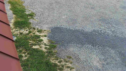 Nástup na běžecké tratě