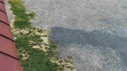 Nástup na běžecké tratě