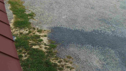 Nástup na běžecké tratě