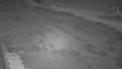 Nástup na běžecké tratě