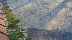 Nástup na běžecké tratě