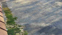 Nástup na běžecké tratě