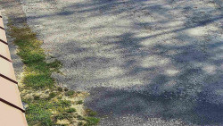 Nástup na běžecké tratě