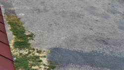 Nástup na běžecké tratě