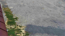 Nástup na běžecké tratě