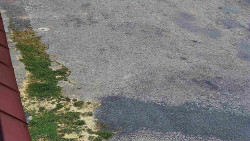 Nástup na běžecké tratě