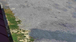 Nástup na běžecké tratě