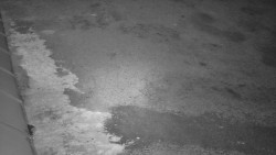 Nástup na běžecké tratě