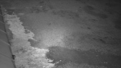 Nástup na běžecké tratě