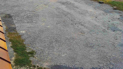 Nástup na běžecké tratě