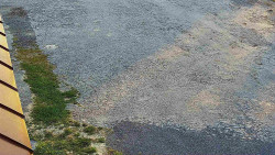 Nástup na běžecké tratě