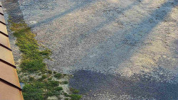 Nástup na běžecké tratě