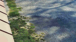 Nástup na běžecké tratě