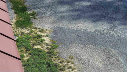 Nástup na běžecké tratě