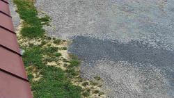 Nástup na běžecké tratě