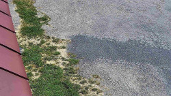 Nástup na běžecké tratě