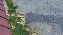 Nástup na běžecké tratě