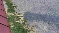 Nástup na běžecké tratě