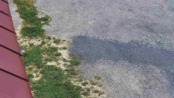 Nástup na běžecké tratě