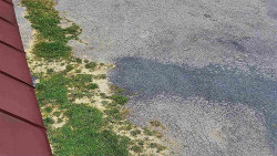 Nástup na běžecké tratě