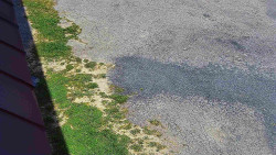 Nástup na běžecké tratě