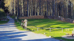 Nástup na běžecké tratě