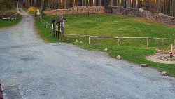 Nástup na běžecké tratě