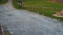 Nástup na běžecké tratě