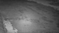 Nástup na běžecké tratě