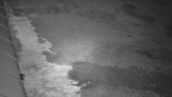 Nástup na běžecké tratě