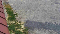 Nástup na běžecké tratě