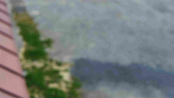 Nástup na běžecké tratě