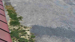 Nástup na běžecké tratě