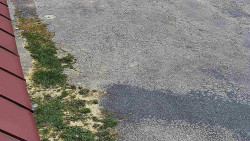 Nástup na běžecké tratě