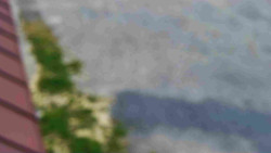 Nástup na běžecké tratě