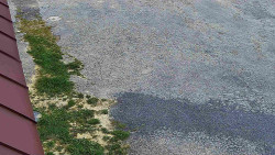 Nástup na běžecké tratě