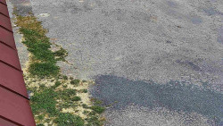 Nástup na běžecké tratě