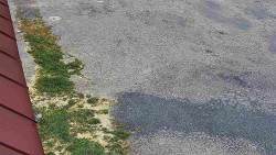 Nástup na běžecké tratě