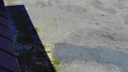 Nástup na běžecké tratě