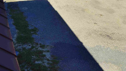 Nástup na běžecké tratě