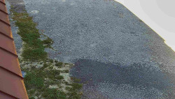 Nástup na běžecké tratě