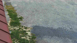 Nástup na běžecké tratě