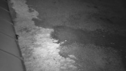 Nástup na běžecké tratě