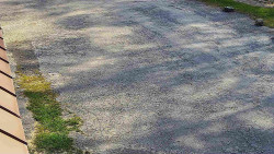 Nástup na běžecké tratě