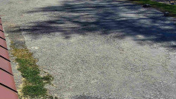 Nástup na běžecké tratě